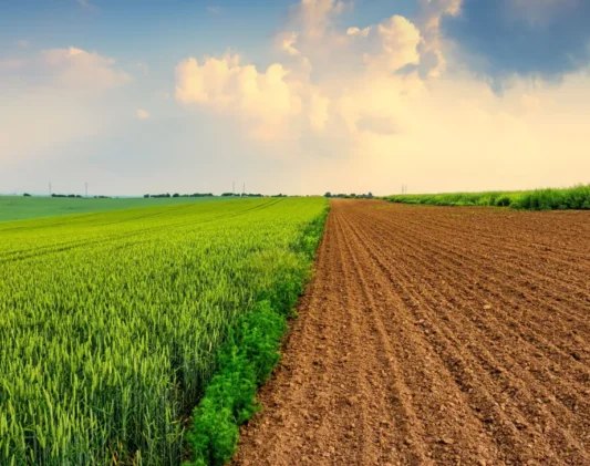 agri